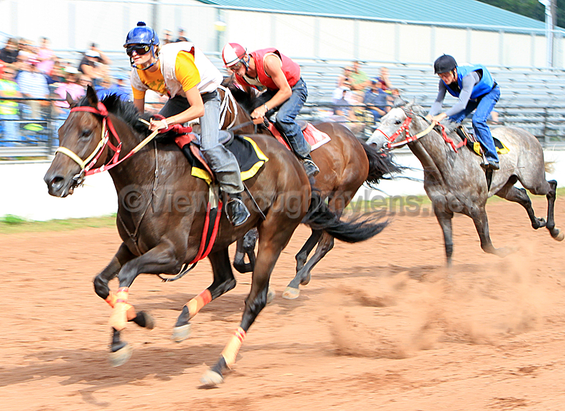 Carlton County Fair Horse Races