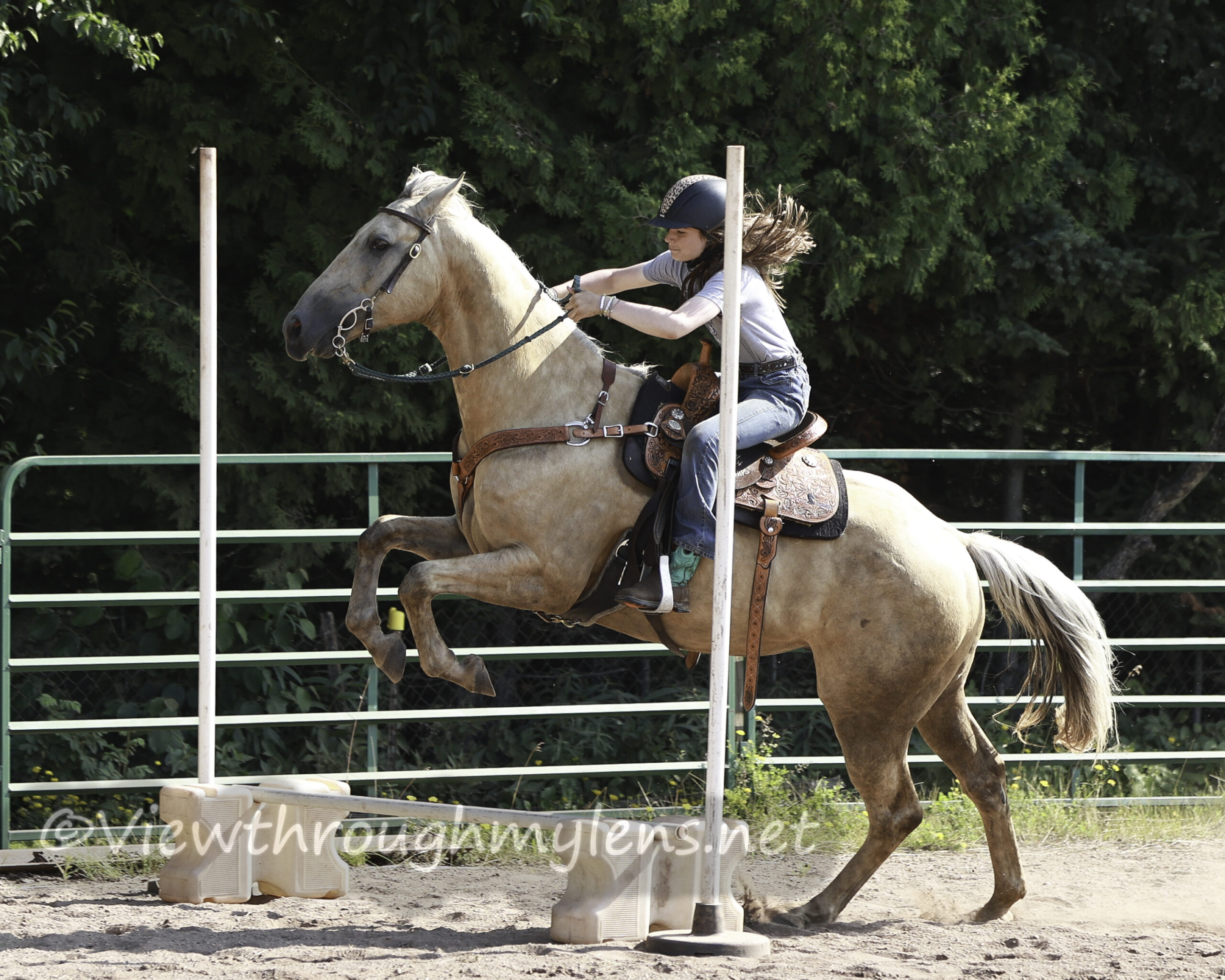 Renegade Riders Saddle Club Fun Show