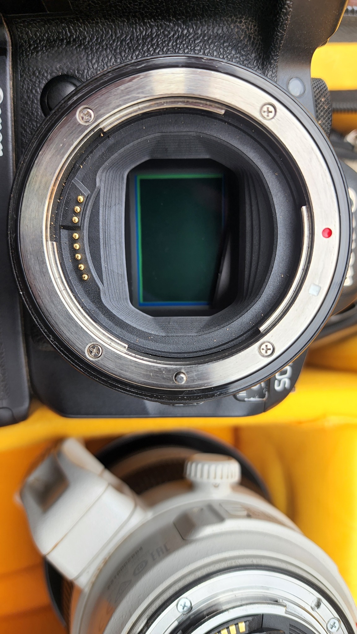 Viewthroughmylens.net’Go Fund Me’