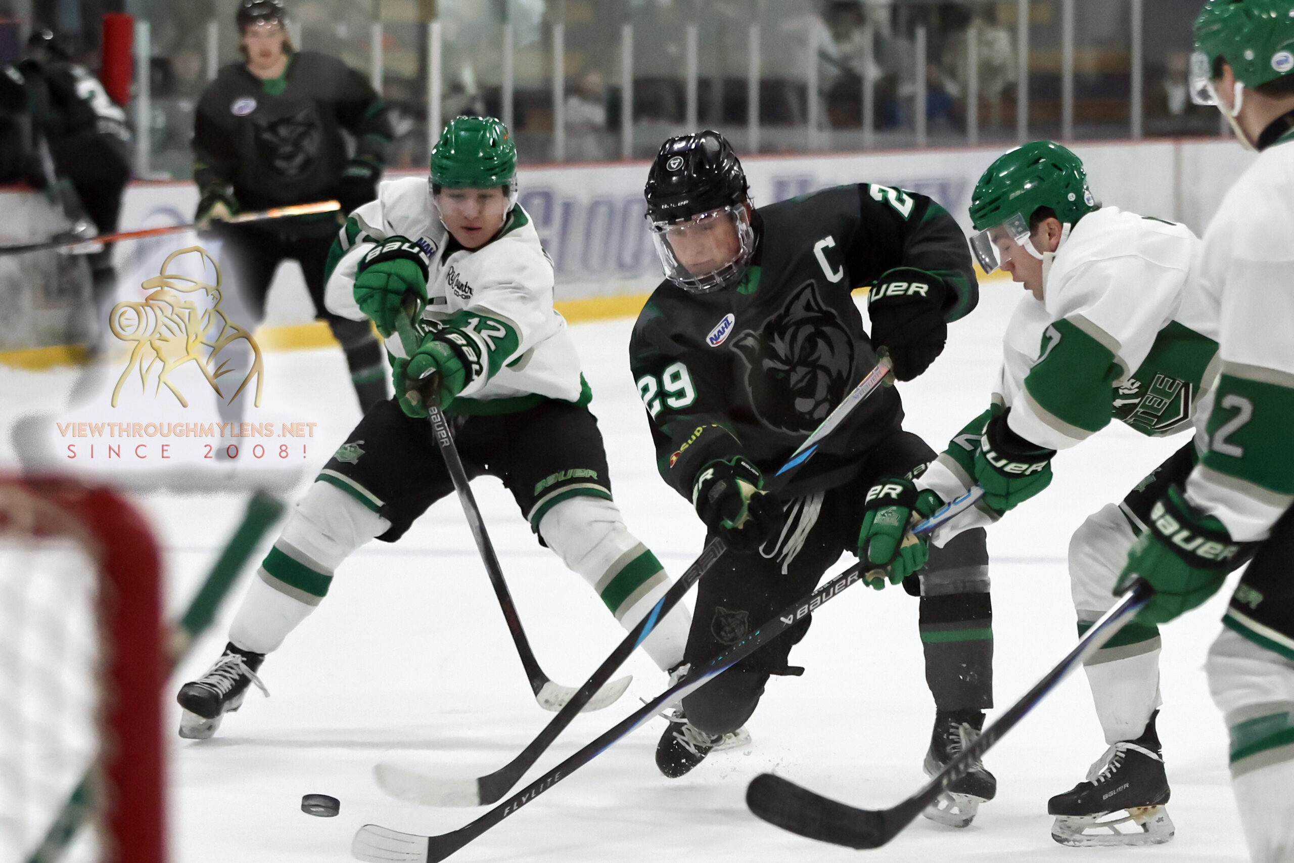 Noah Dziver Becomes Minnesota Wilderness All-Time Scoring Leader